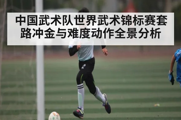 中国武术队世界武术锦标赛套路冲金与难度动作全景分析（kaiyu.com）